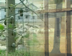 Screen shot 2012-01-24 at 2.52.22 PM
