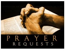 Screen Shot 2012-11-23 at 12.38.50 PM