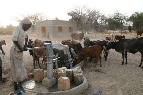 People and animals alike benefit from the wells in Jaac-1