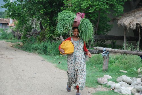 Industriousness_blog