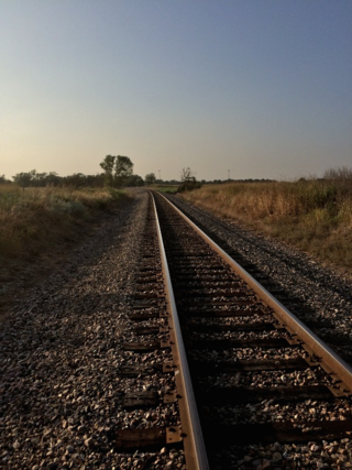 Where will the track lead Where will the track lead