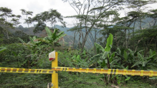 Jungle area in Colombia